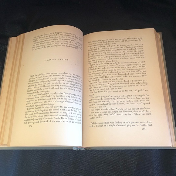 Vintage Hardcover Thunderhead by Mary O’Hara 1943 - Classic Horse Novel - Picture 7 of 11